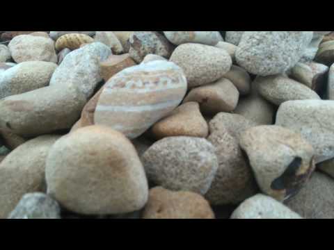 Jak urządzić ogród - kilka cennych wskazówek Kar-Group Ełk