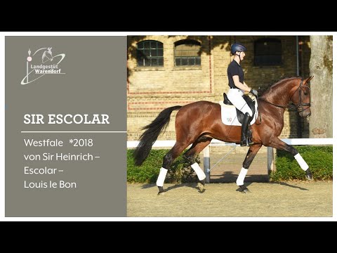 Sir Escolar 12 08 2021 Trainingsimpressionen