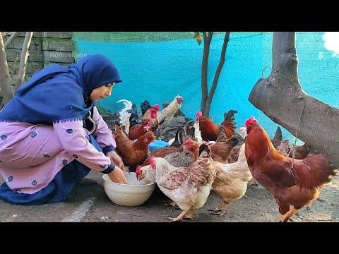 Two Unique Persian Recipes | Traditional Iranian Food with a Local Touch!