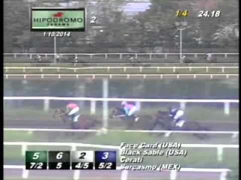 2DA CARRERA VIERNES 10 DE ENERO DE 2014 HPR