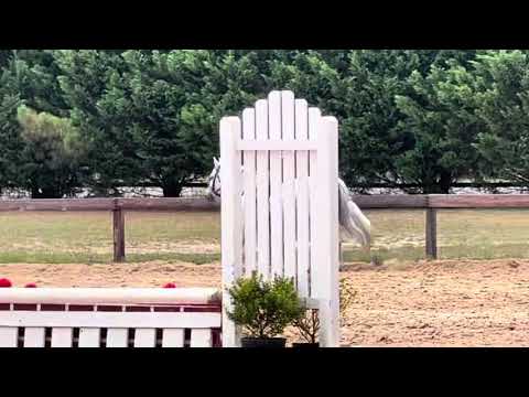 Texas Moonshine video 2