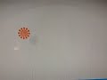 Bubble Guppies Season 1 Outro Hebrew