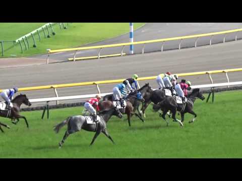 2016 東京優駿 日本ダービー マカヒキ JAPANESE DERBY Makahiki