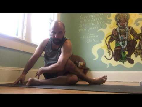 Asana Breakdown - Gomukasana Variation
