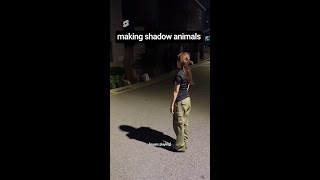 which shadow are you today 👀  #shadowpuppets #illusion