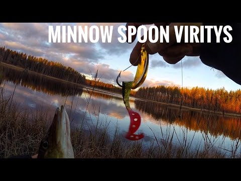 Lokakuinen metsälampi | Hauen kalastusta