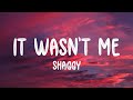 Shaggy Feat Ricardo Ducent It Wasn T Me Lyrics