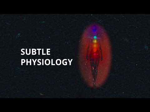 Subtle Physiology & the Chakras - Quantum University