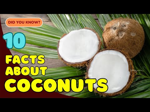 10 Surprising Facts About Coconuts You Didn’t Know! 🥥