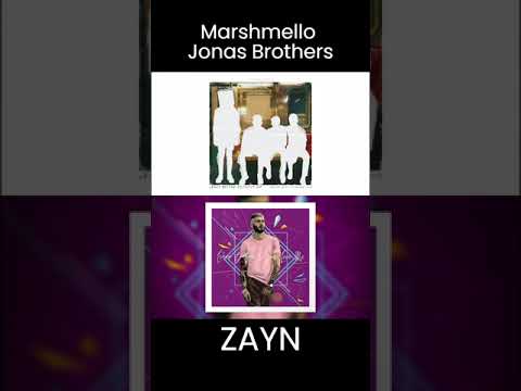 Leave Before You Love Me - ZAYN x Marshmello x Jonas Brothers