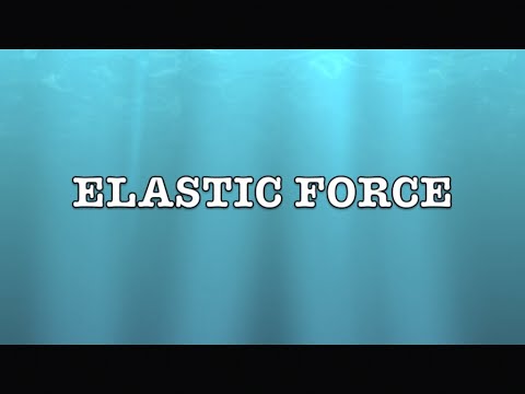 Elastic Force