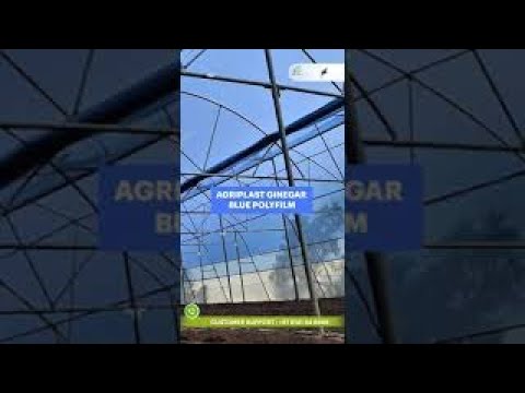 Ginegar Driplock Diffused AV Blue Greenhouse Covering Film