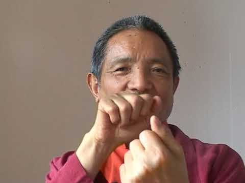 Tulku Thondup Rinpoche: The healing power of the mind, by Guido Ferrari, 2011