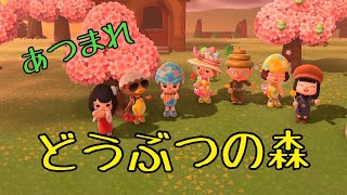 【初見さん歓迎】みんなで遊びたい！！「あつまれどうぶつの森」