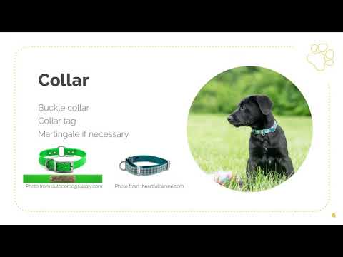 PPP workshop Sara Brueske The Puppy Procedure – Setting Up Your Home for Success!