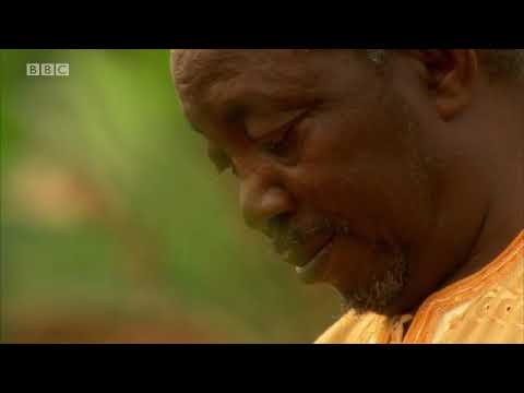 Wider world 2. Unit 4. BBC Culture   The digital revolution Part 2