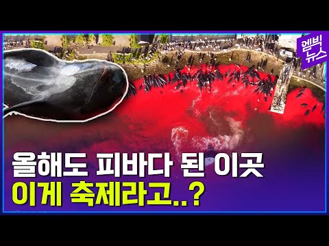 아이콘