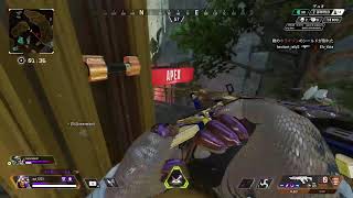 オクタンキル数伸ばし　カジュアル　APEX