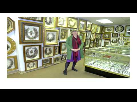 Pecha Kucha Night Dayton Vol. 20 - Shayna McConville