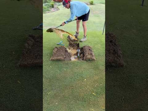 Fixing a Lawn Bubble