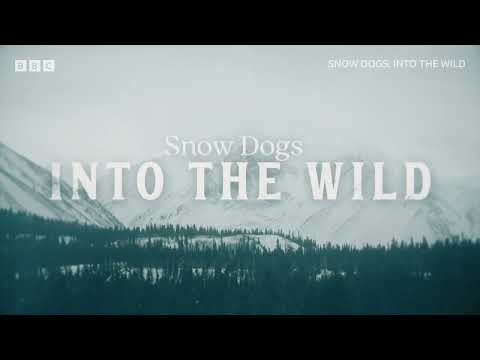 Snow Dogs: Into the Wild | BBC Select