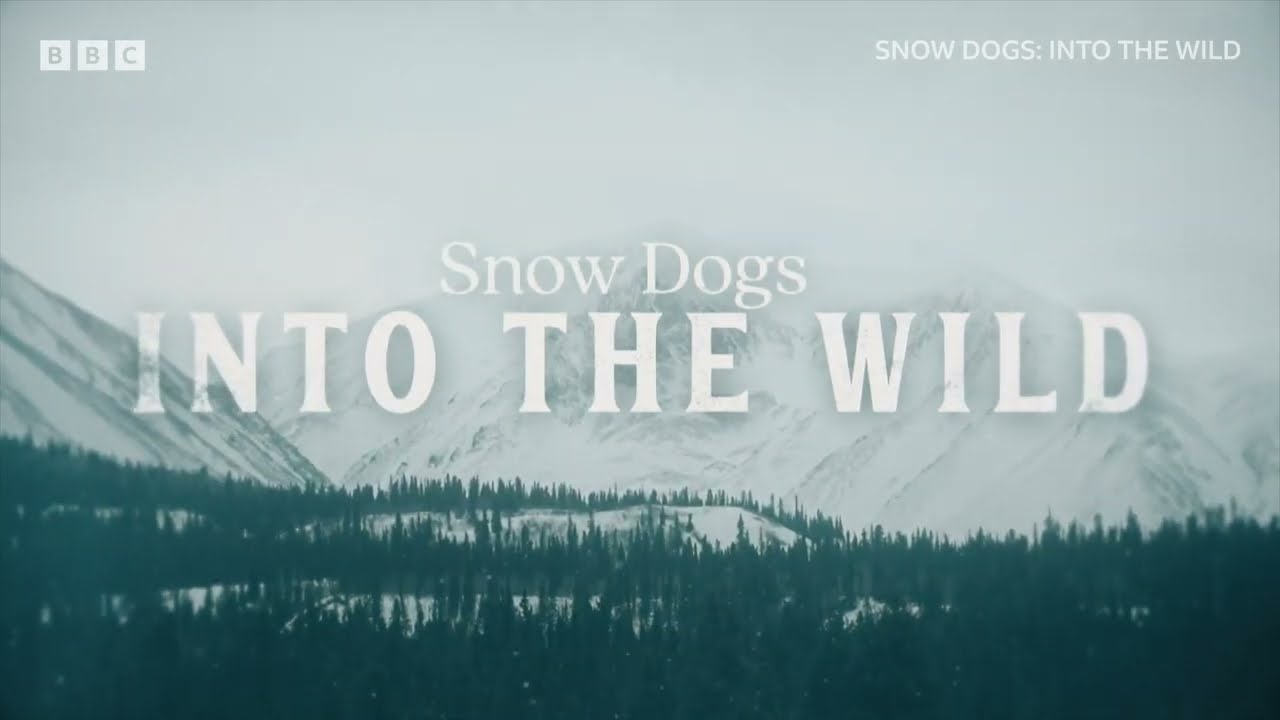 Snow Dogs: Into the Wild | BBC Select