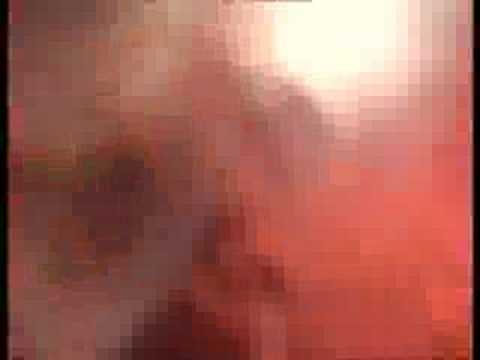 3° concerto - Noi non abbiamo paura di nessuno