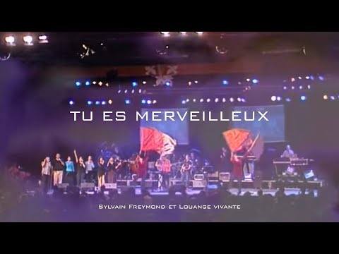 Tu es merveilleux, Jem 717 - Louange vivante