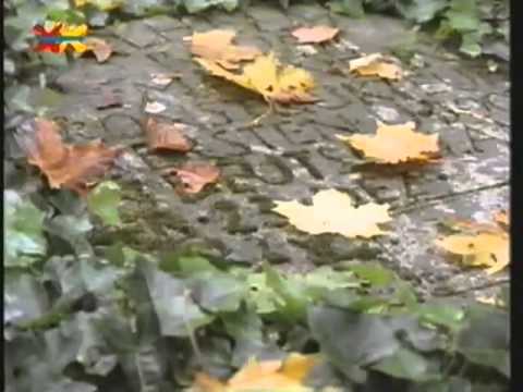 Mittendrin 09 in einer Höhle - Umweltmagazin mit Peter Lustig