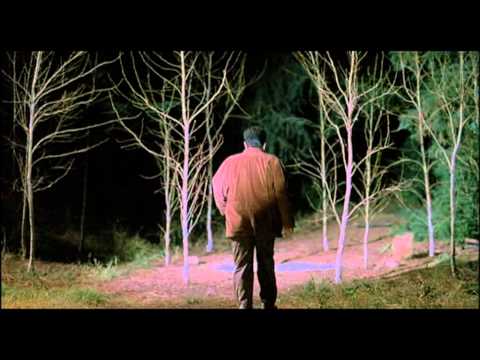 Twin Peaks (Fire Walk With Me)-Final Sequence