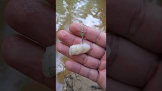 Download lagu cara pasang umpan udang kupas #umpan #umpanjitu #umpanmancing #udang #tutorial #tips mp3 Download lagu cara pasang umpan udang kupas #umpan #umpanjitu #umpanmancing #udang #tutorial #tips mp3