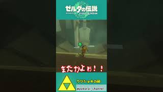 【ティアキン】攻略に必要な物は破壊力です！！爆風をコントロールせよ【祠攻略】＃Shorts
