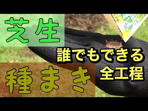 どの種をいつ、どのように播種するか、期間の手順