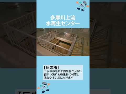 下水道局施設紹介動画（多摩川上流水再生センター）ショートver【東京都下水道局】