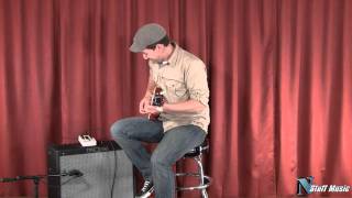Video thumbnail for T-REX Room-Mate Tube Reverb Pedal by N Stuff Music