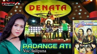 Download lagu DENATA - PADANGE ATI ( Voc. Suliyana ) mp3