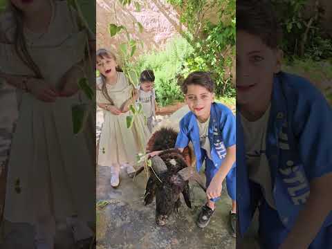 ياغنماتي ماء ماااااء