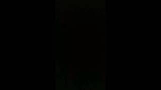 Download lagu Sexy Bikini Dance #shorts #bikini #dance mp3