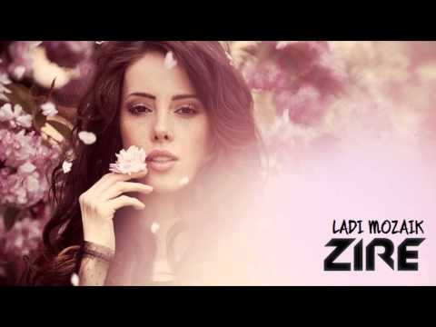 Ladi Mozaik (Zire Mashup) [Michael Calfan vs Steve Aoki Ft. Wynter Gordon]