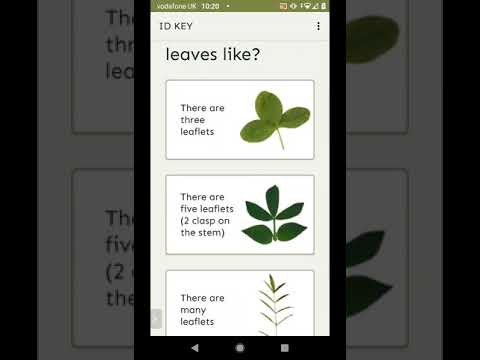 Sward App