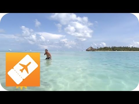 Gästehaus auf dem paradiesischen Malediven | Reisefieber Asien
