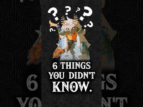 6 Things You Didn't Know In Zelda Tears Of The Kingdom