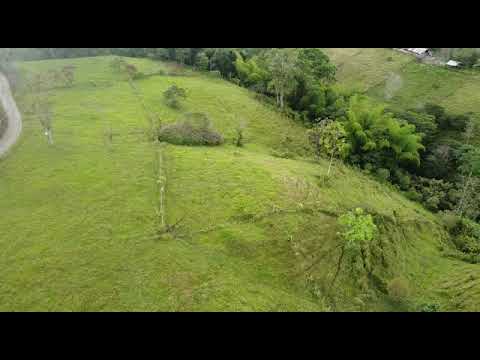 Lotes en Circasia Quindío desde 3.200 m2