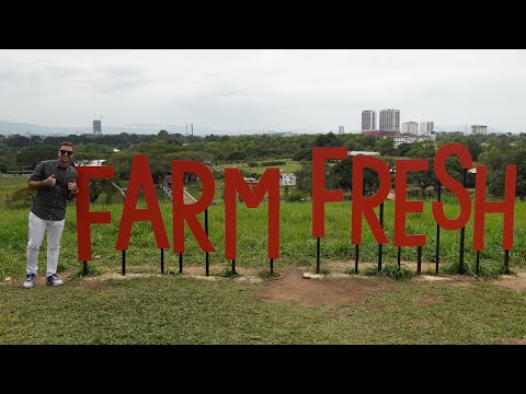 Farm Fresh @ UPM , The Newest Family Attraction In Selangor