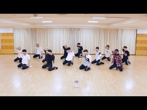 SEVENTEEN - 울고 싶지 않아 (Don't Wanna Cry) Dance Practice (Mirrored)
