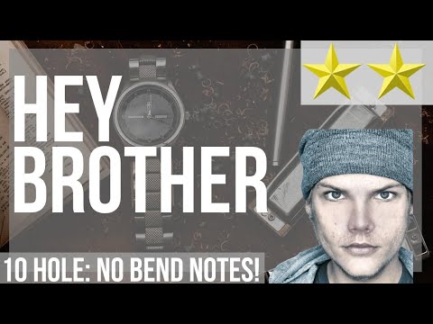 How to play Hey Brother by Avicii on Diatonic Harmonica 10 Holes (Tutorial)