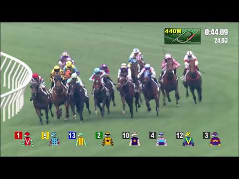 1/1/2022 (299) Flying Ace - Matthew Poon