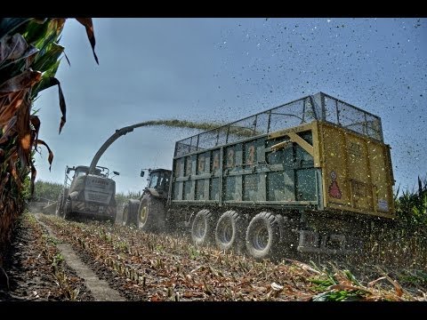 Silage 2013 Slovak Republic - Claas Jaguar 960 , 5x John Deere , 2x JCB HD
