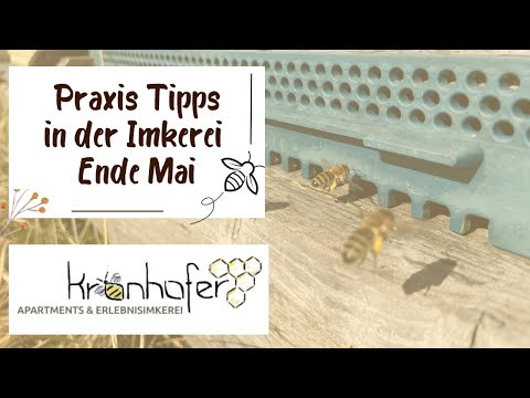 7. Practical Tips - The honeycomb - various extension forms and an update on the Waldracht