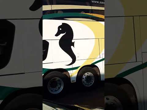 Foz do Iguaçu x Tramandai  pelas ruas de Medianeira pr